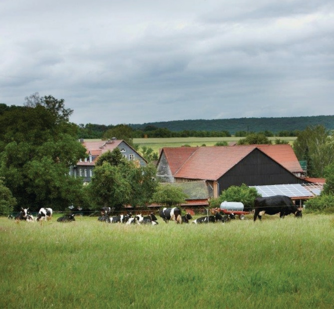 Hof Stedebach
